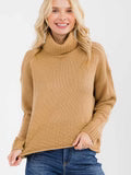Turtle Neck Knit Sweater
